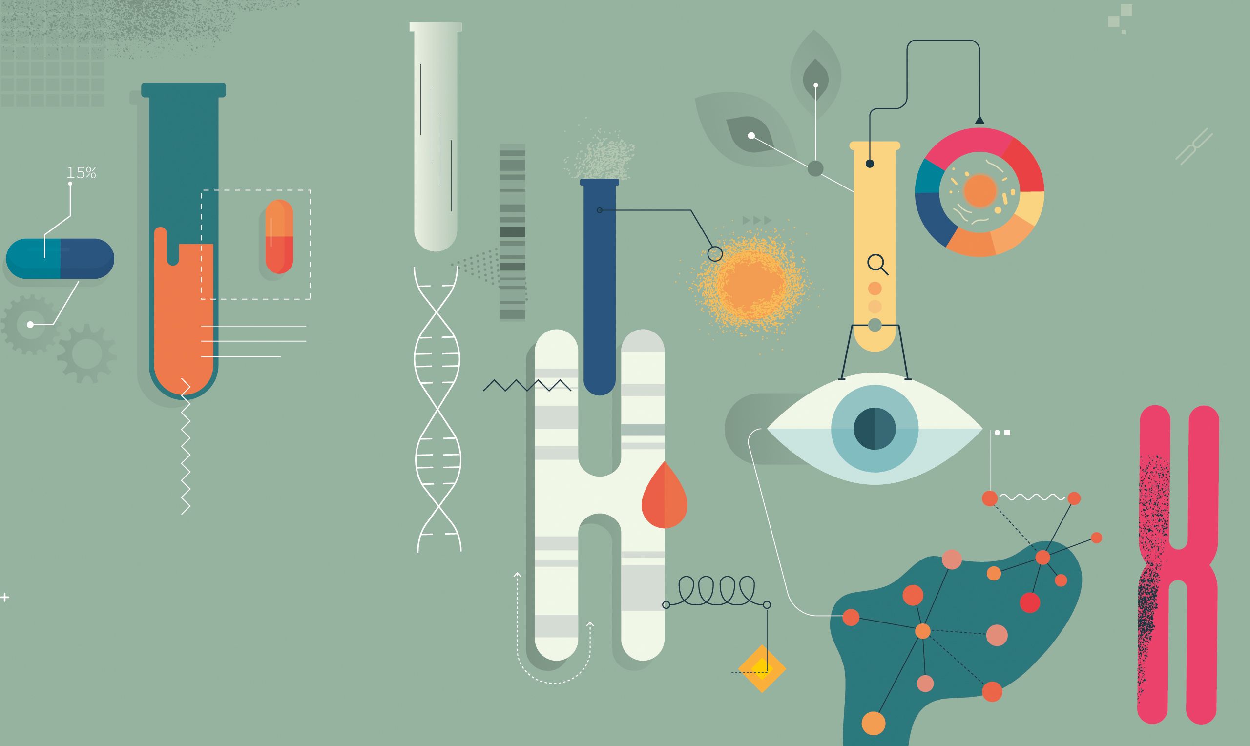 An illustration of bacteria.